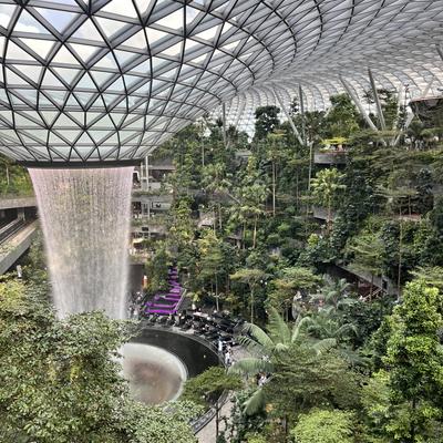 シンガポールで学ぶ、未来のお庭デザイン関連画像 シンガポールで学ぶ、未来のお庭デザイン関連画像