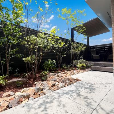 関連画像 関連画像