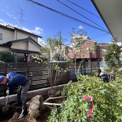 関連画像 関連画像