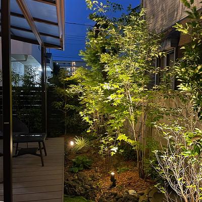 東京都武蔵野市 山野の木々をライトアップで楽しむ、憩いのデッキ・ガーデン 東京都武蔵野市 山野の木々をライトアップで楽しむ、憩いのデッキ・ガーデン