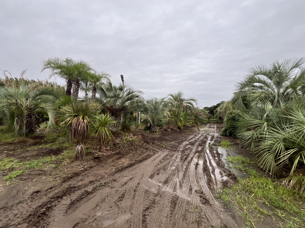 ���ո��إ䥷���ڤλ뻡�˹ԤäƤ��ޤ�����Ϣ����