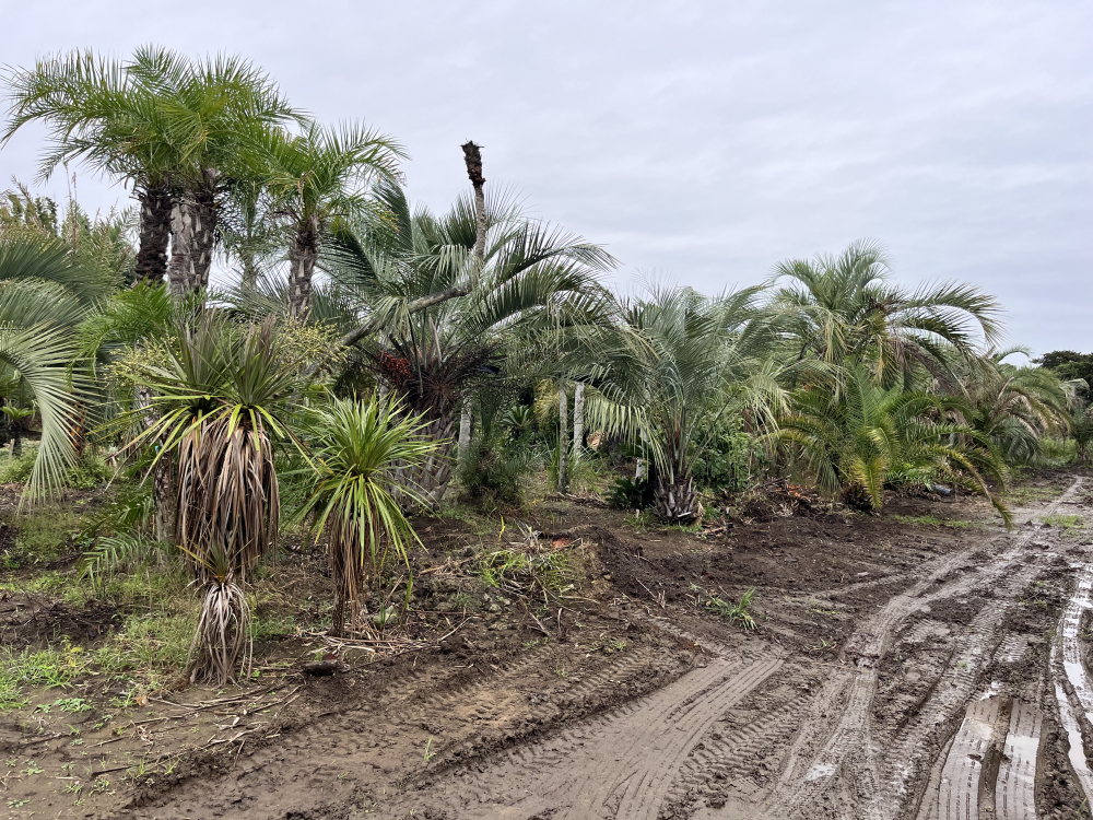 ���ո��إ䥷���ڤλ뻡�˹ԤäƤ��ޤ�����Ϣ����