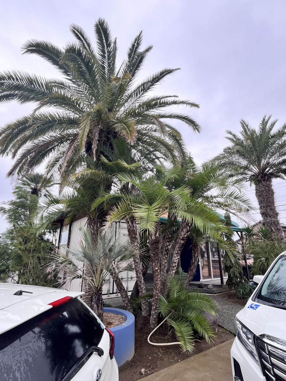 ���ո��إ䥷���ڤλ뻡�˹ԤäƤ��ޤ�����Ϣ����