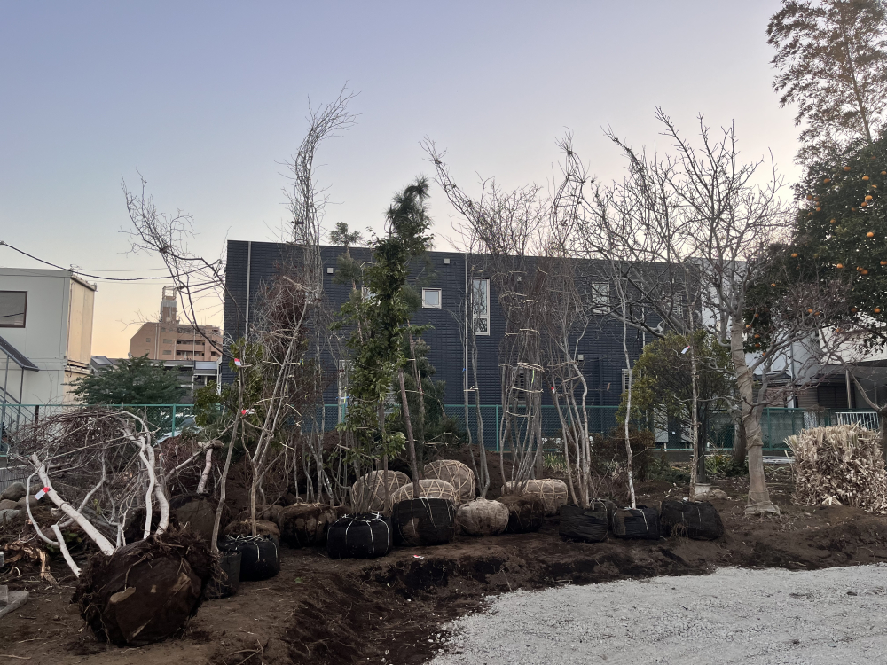 関連画像 関連画像