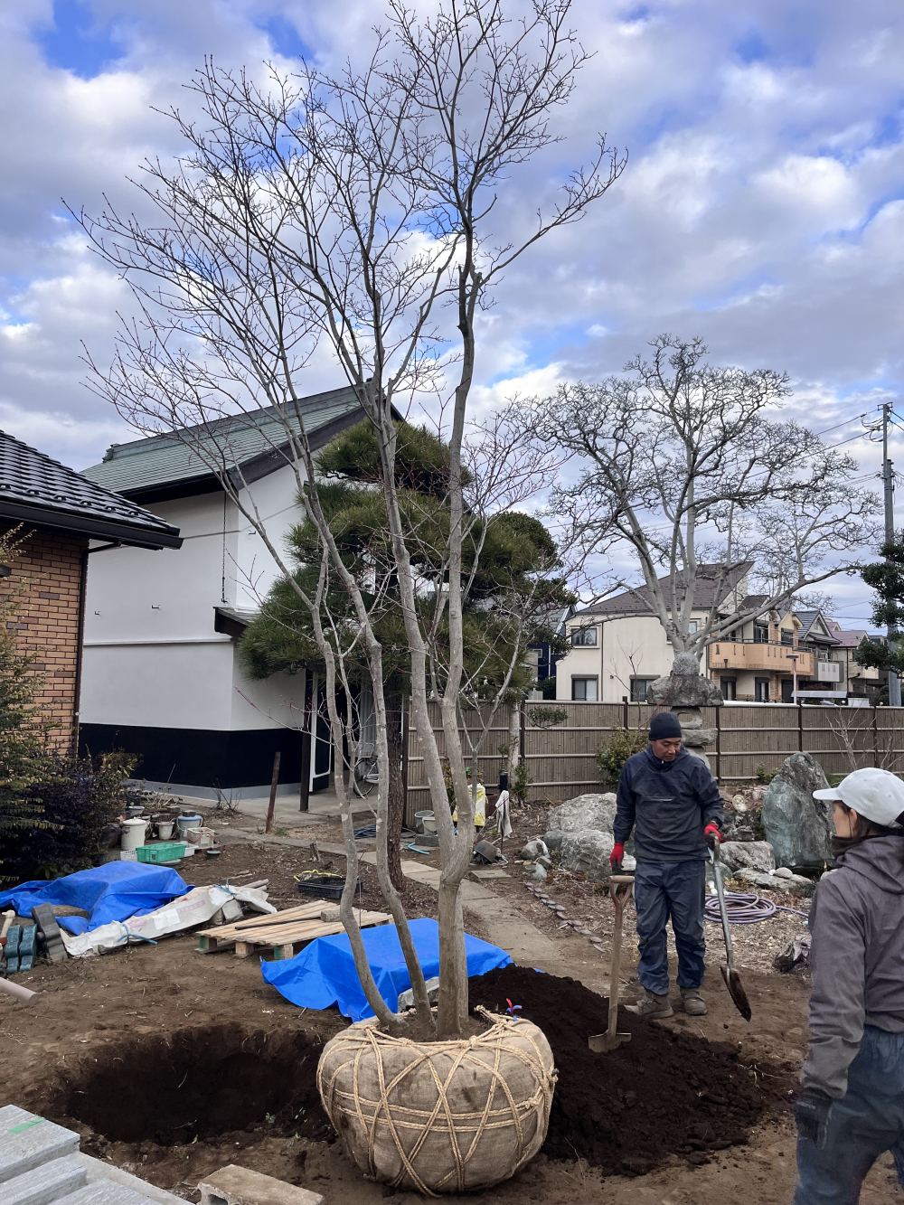 関連画像 関連画像