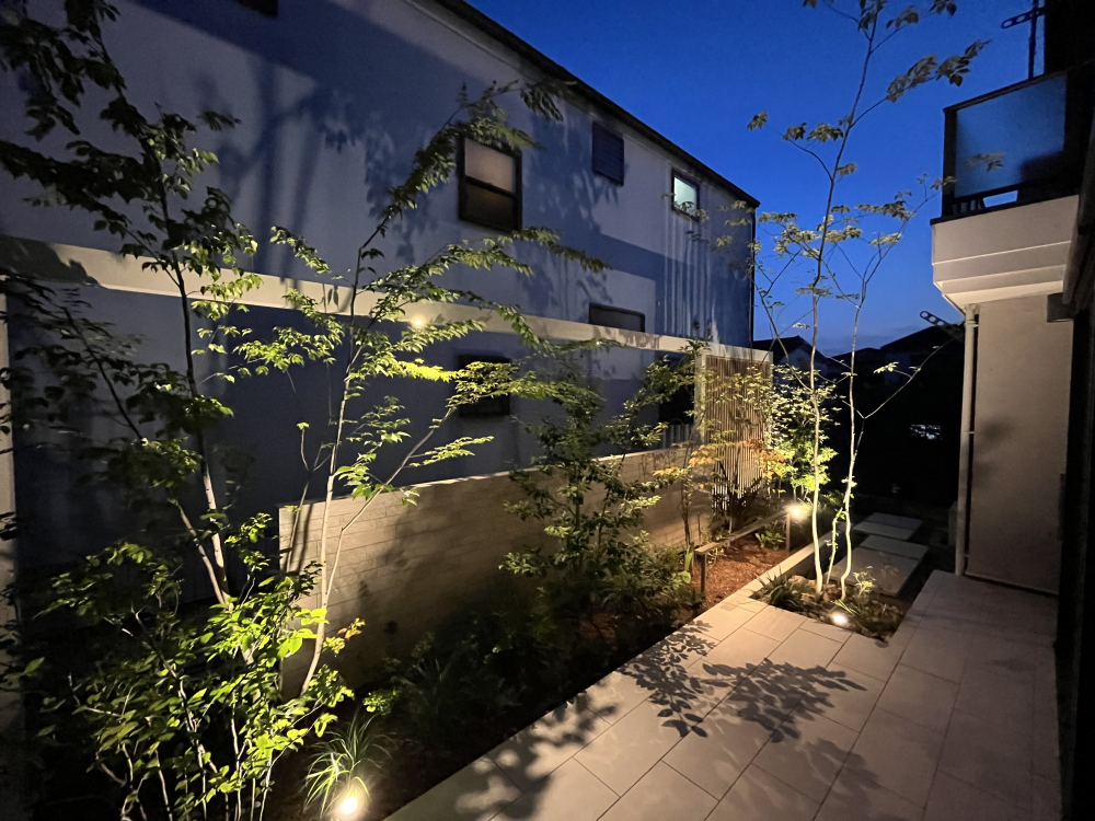 関連画像 関連画像