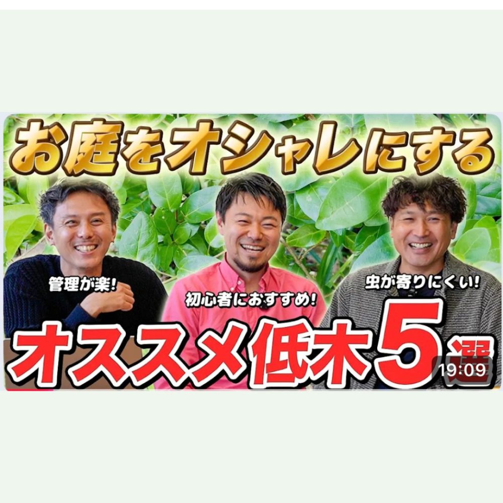 NiwaNaviPopupImage