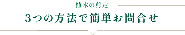 ڤꡡ3ĤˡǴñ礻