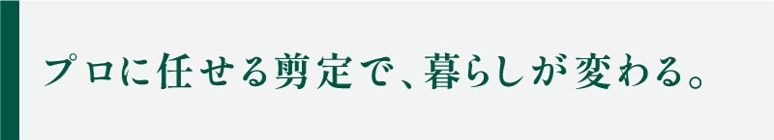 ץǤǡ餷Ѥ
