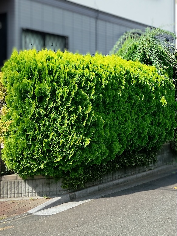 B01