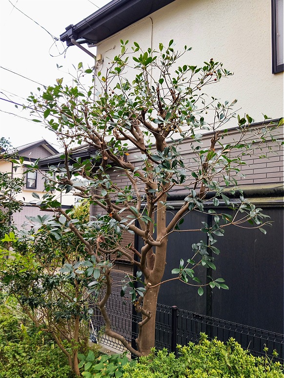 A02
